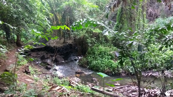 img_20170805_073142_hdr